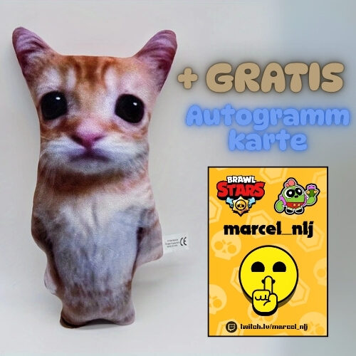 NEU!!! RIESEN KATZE 😺 ( Gadse/Kadse )